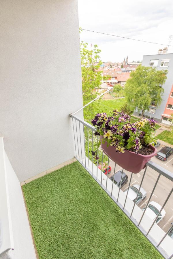 Cosy Apartment Hugo أوسييك المظهر الخارجي الصورة