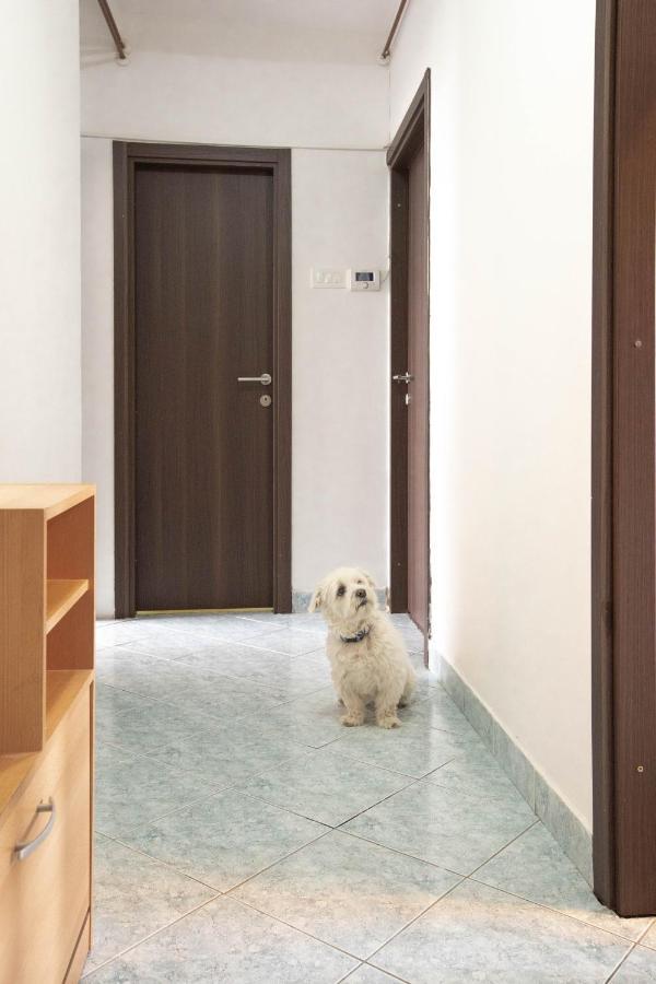 Cosy Apartment Hugo أوسييك المظهر الخارجي الصورة